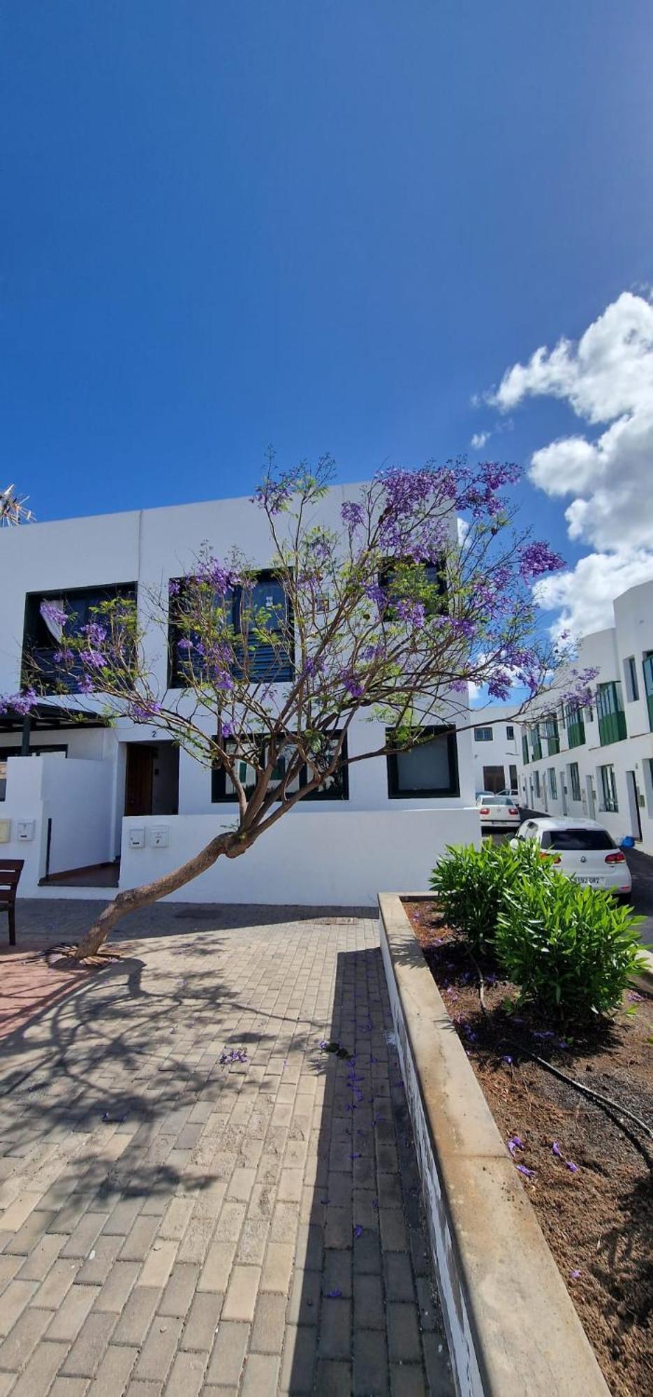 Apartamento Margarita Playa Blanca  Exteriör bild